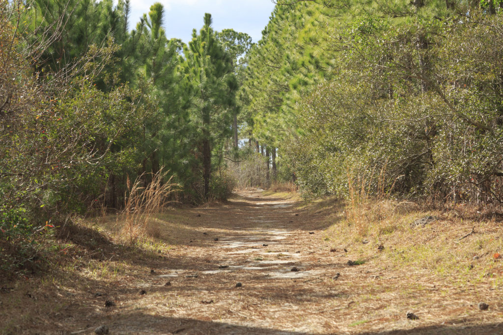 Smith Creek Park Preserve